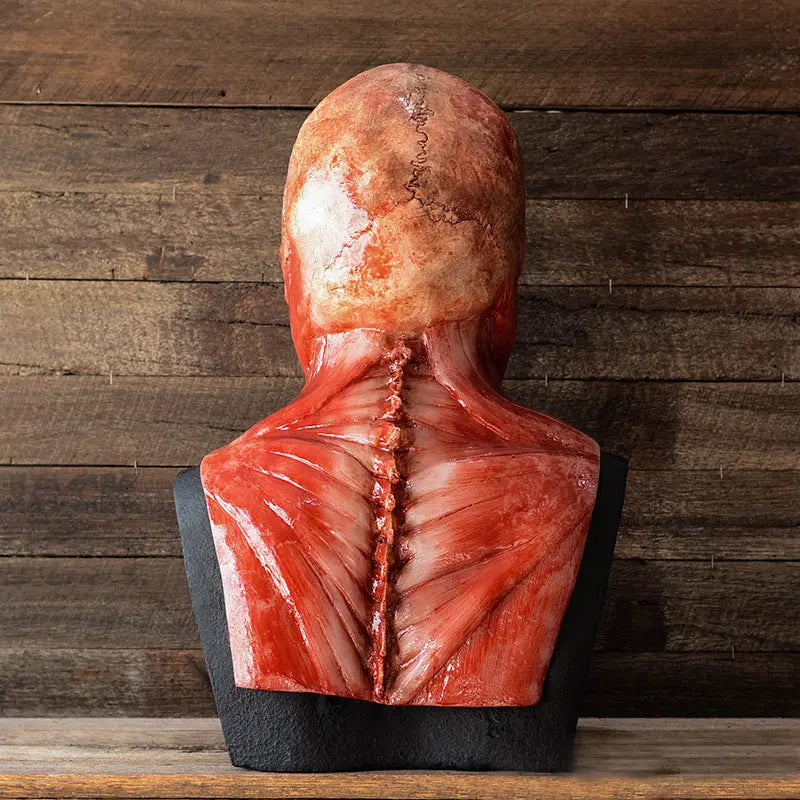 Creepy Skeleton Anatomy Halloween Mask for Adults – Realistic Scary Latex Design for Halloween Parties 3