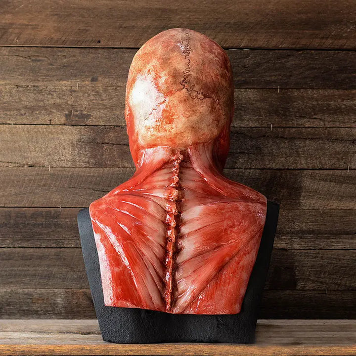 Creepy Skeleton Anatomy Halloween Mask for Adults – Realistic Scary Latex Design for Halloween Parties 3