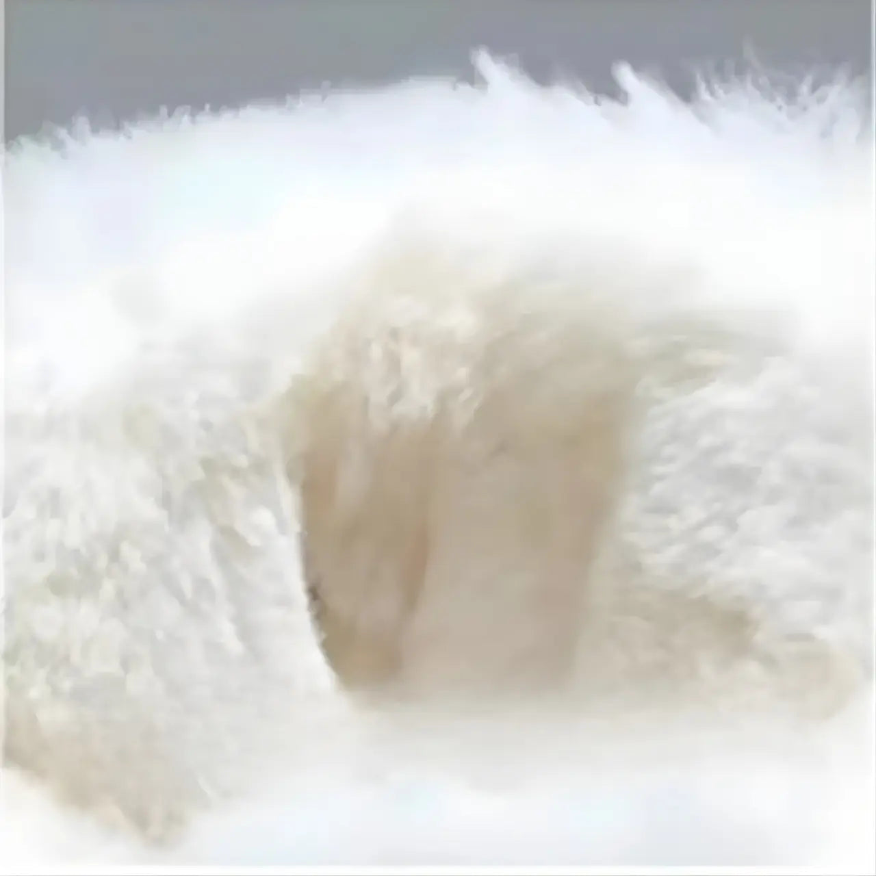 MunaWear - Hiking Shoes - Velion – Mid-Top Waterproof Hiking Shoes with Leather Design for Outdoor Adventures - 