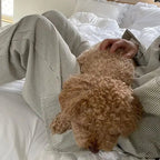 Liora - Classic Women's Pyjama Set With Striped Long Sleeve Top For Relaxed Comfort And Lounging 2