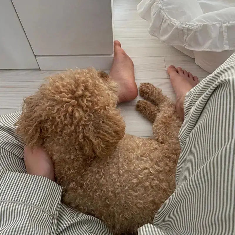 Liora - Classic Women's Pyjama Set With Striped Long Sleeve Top For Relaxed Comfort And Lounging 3